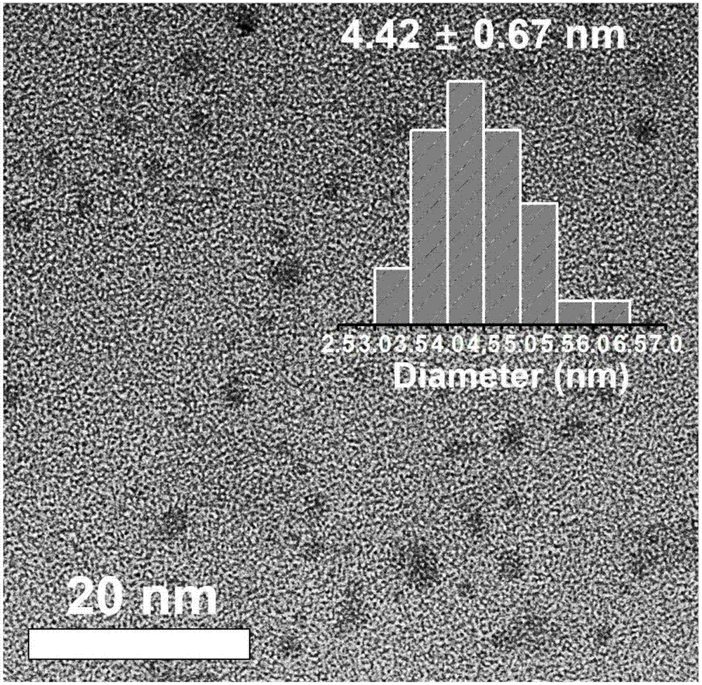 Preparation of red fluorescent carbon nanodots, and method used for detecting ferric ions and ascorbic acid