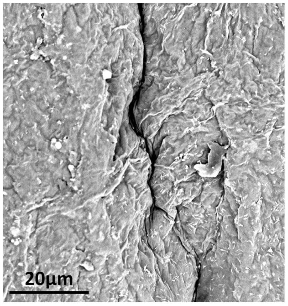 A kind of wrinkled graphene oxide/latex flexible film and its preparation and application