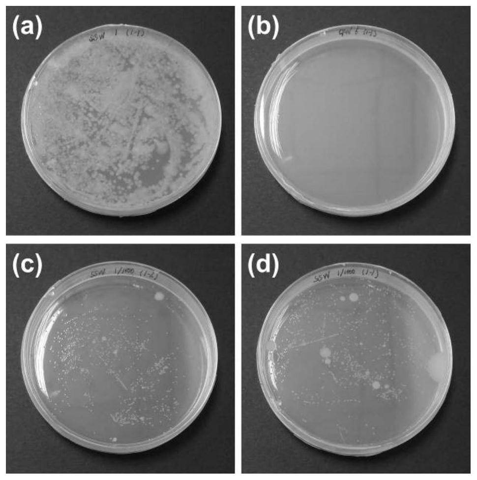 Preparation method of modified natural wood material and application of modified natural wood material in sewage treatment