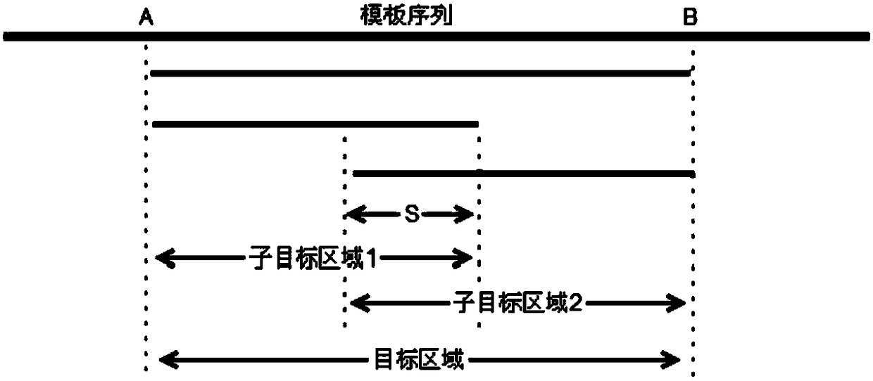 A primer3-based bprimer batch PCR primer design method