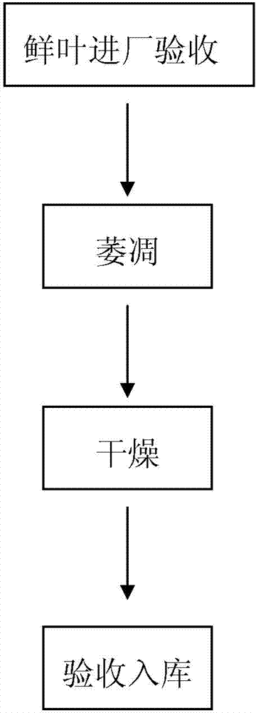 Preparation method and brewing method of ultrafine white tea