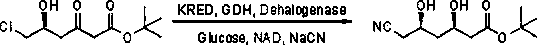 Biological preparation method of (3R, 5R)-6-cyano-3,5-dyhydroxytert-butylhexanoate