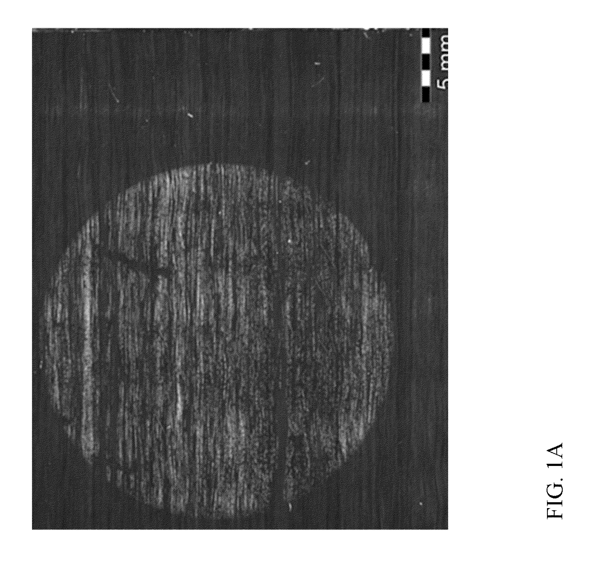 Process for selective isolation of CFRP parts by electrodeposition coatings