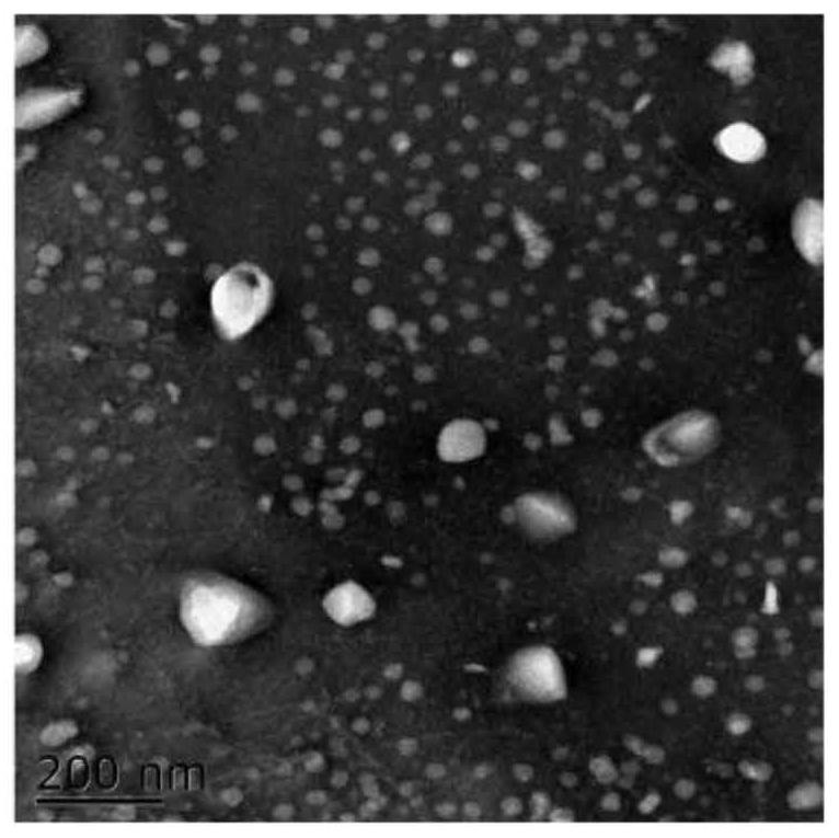 Application of stem cell exosome in preparation of drug for resisting colitis deterioration
