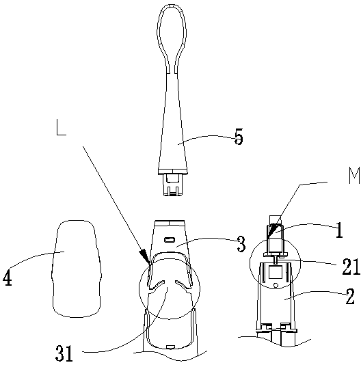 Electric toothbrush vibration structure