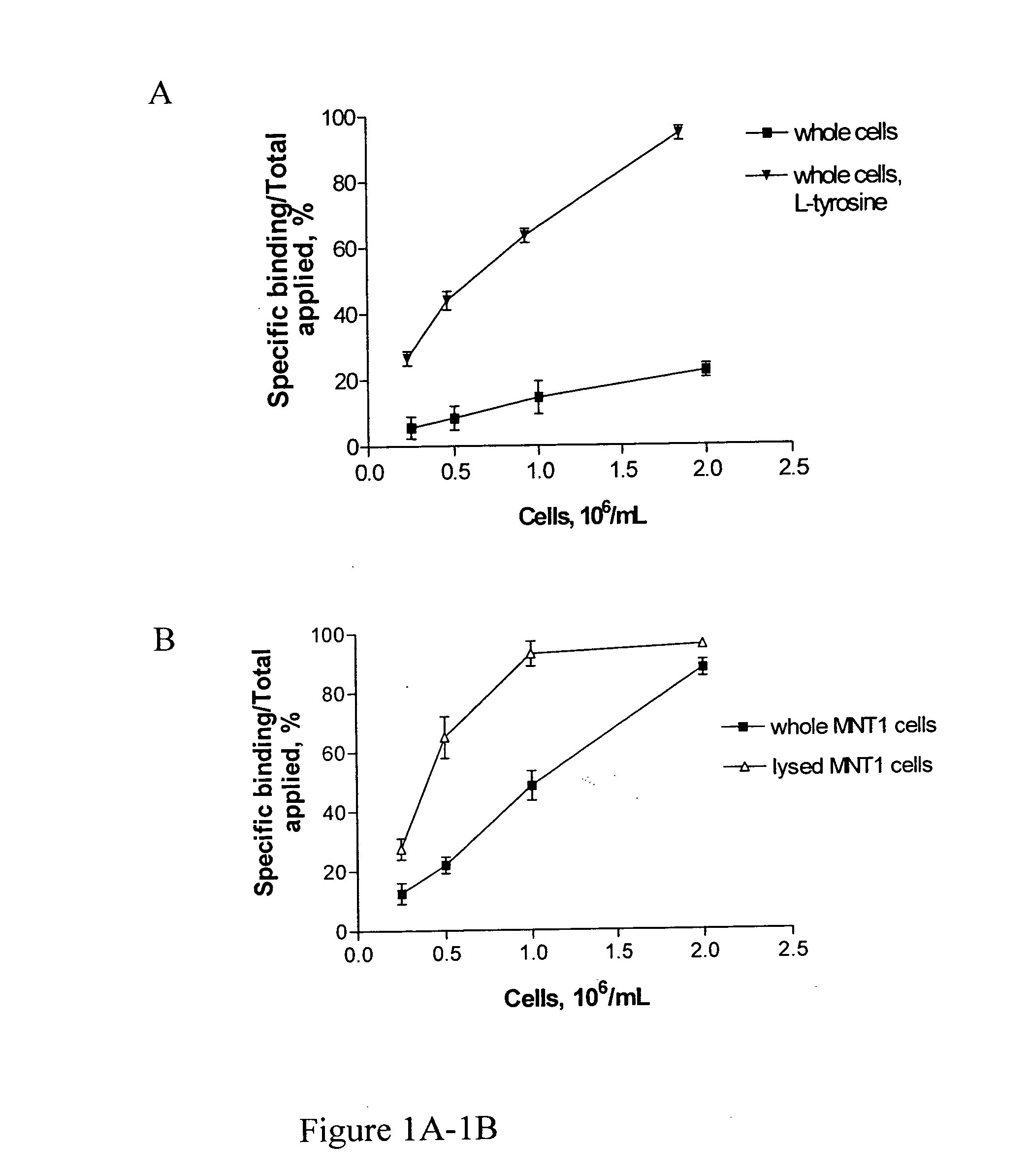 Radiolabeled antibodies and peptides for treatment of tumors