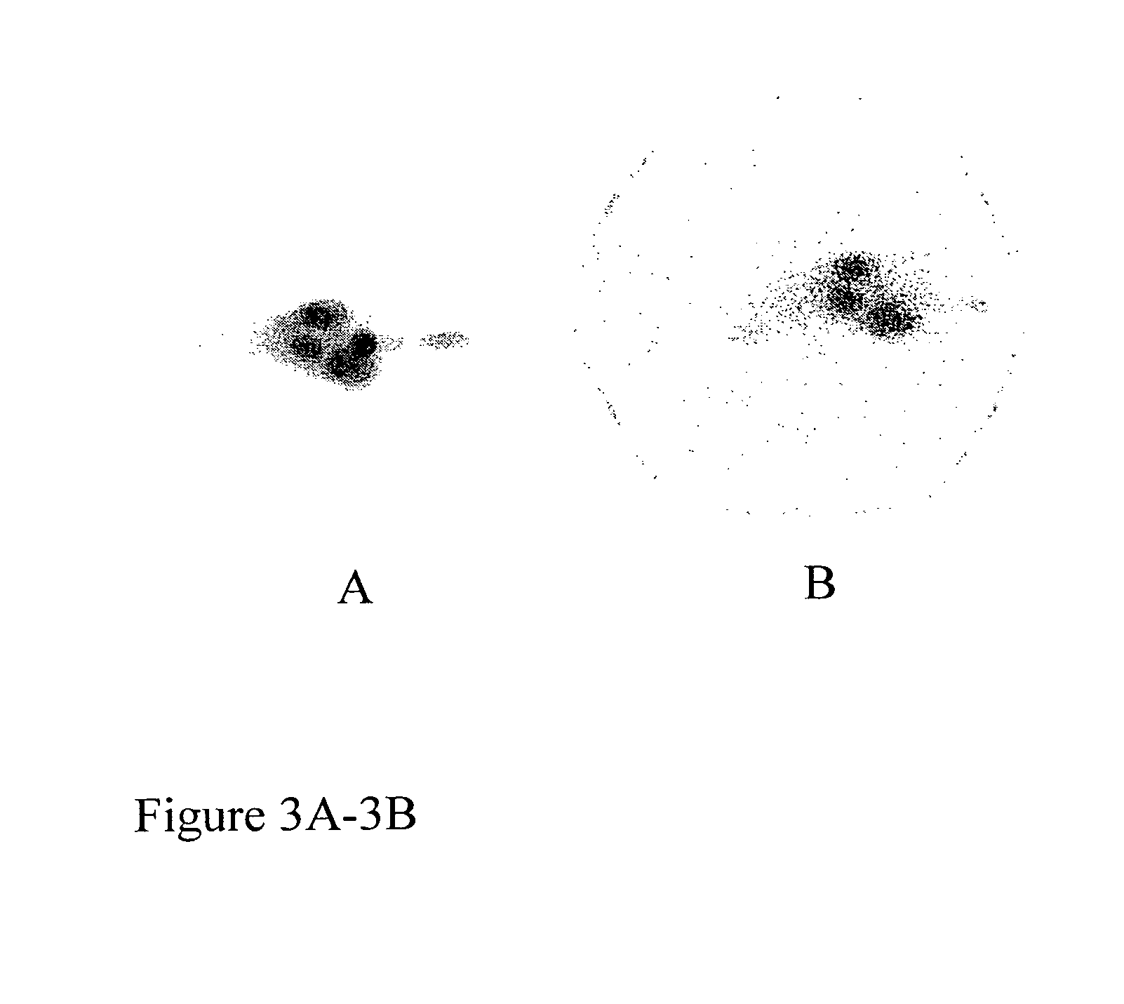 Radiolabeled antibodies and peptides for treatment of tumors