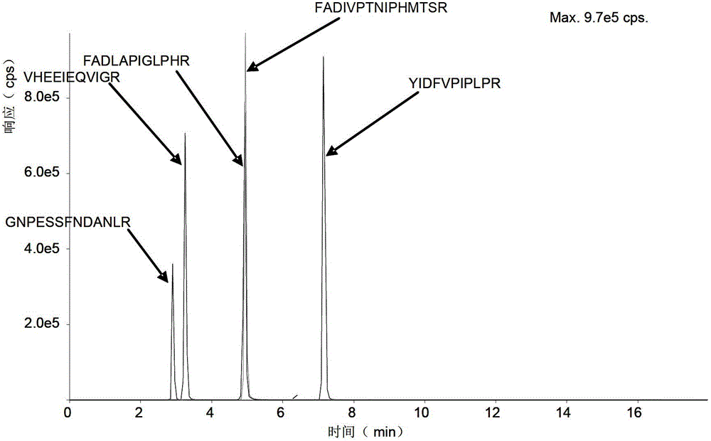 Absolute quantification method of rat CYP450 enzyme mass spectrum