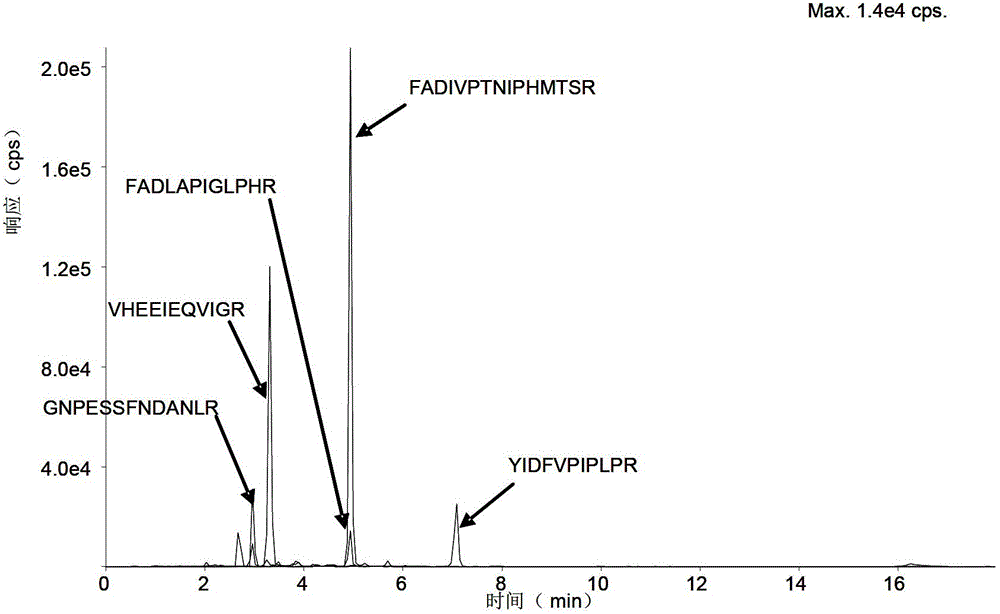 Absolute quantification method of rat CYP450 enzyme mass spectrum