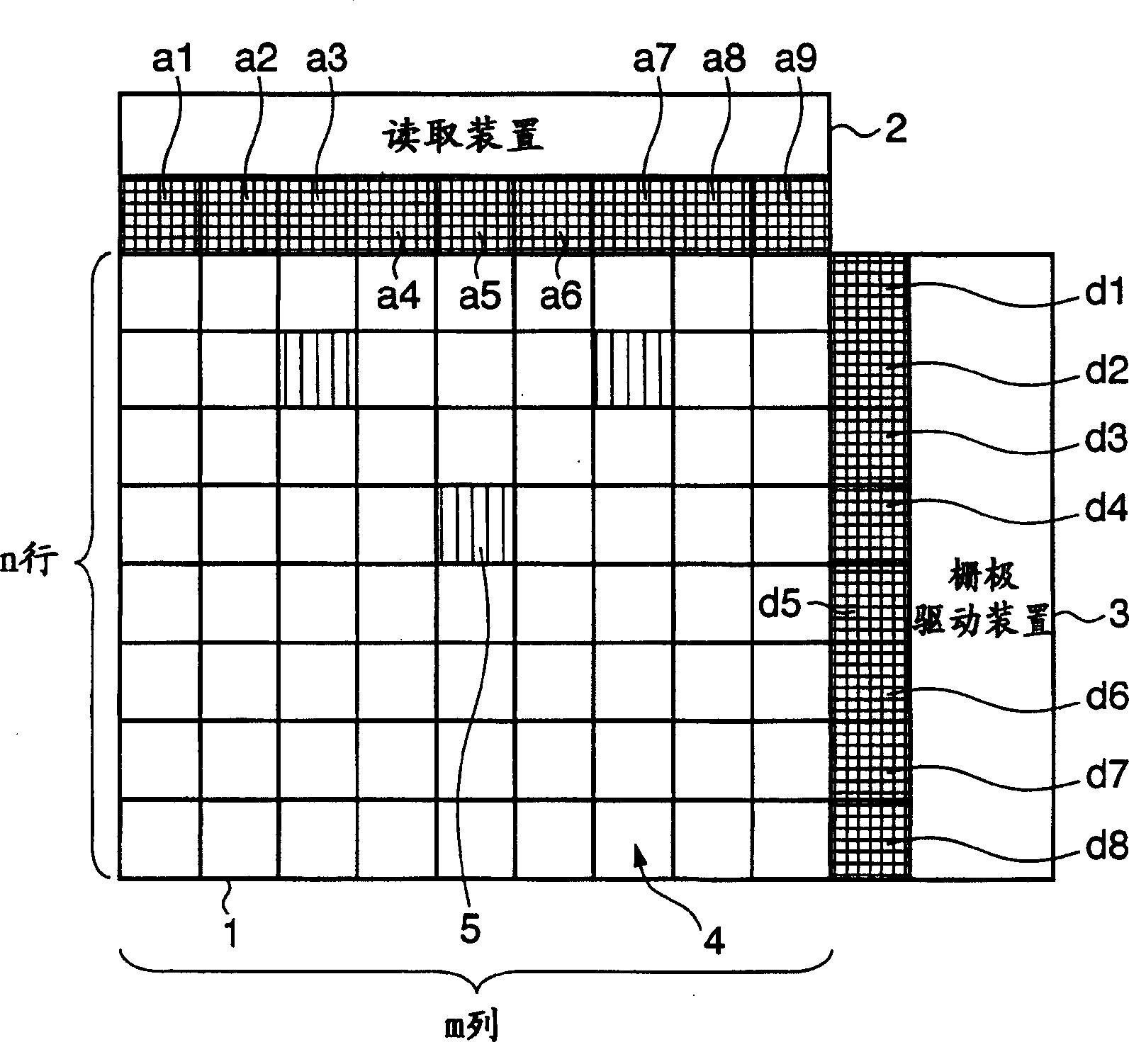 Radioactive rays camera apparatus and radioactive rays camera system