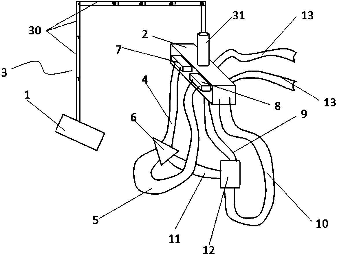 Animal intake observation device and animal intake observation method