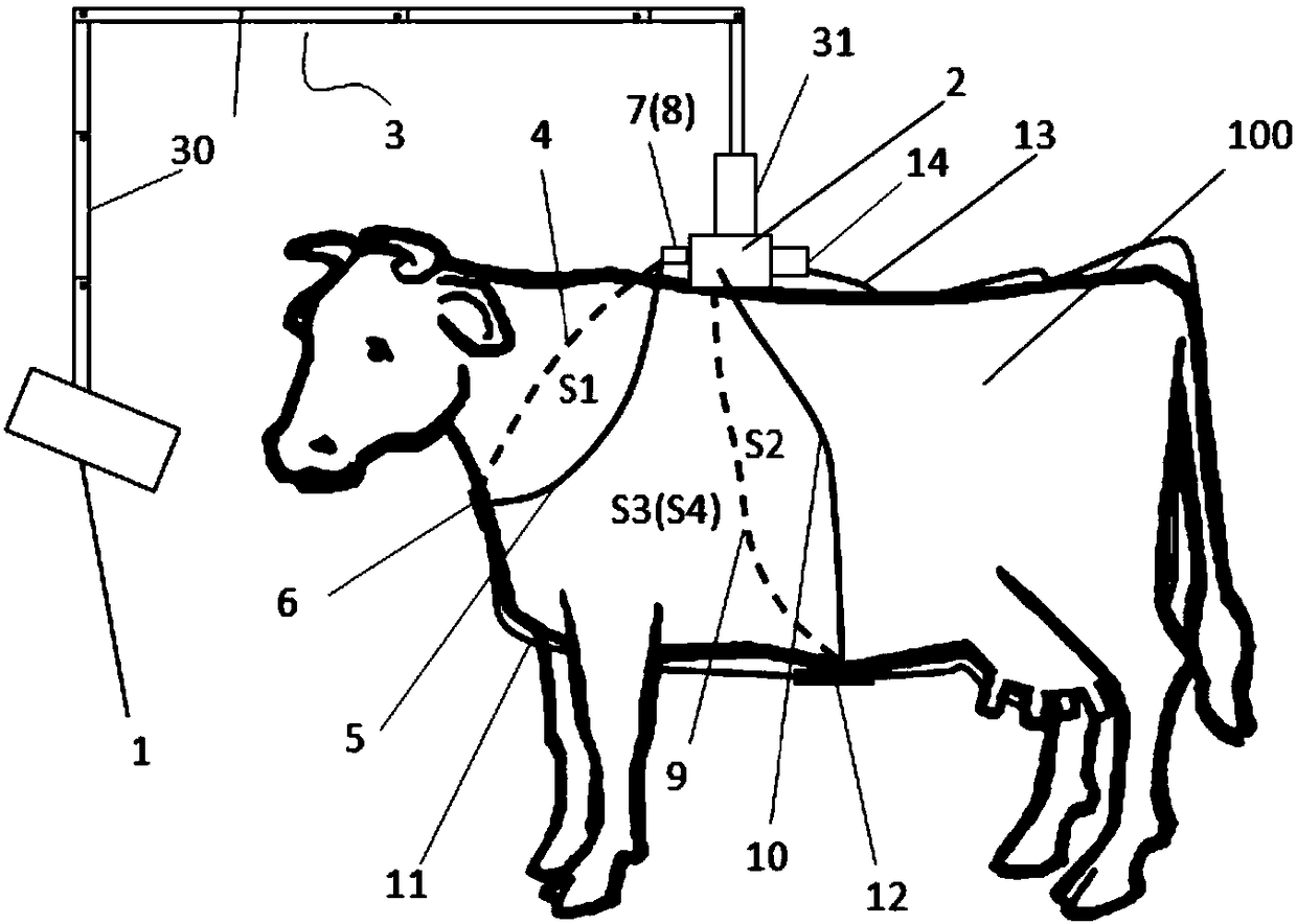 Animal intake observation device and animal intake observation method