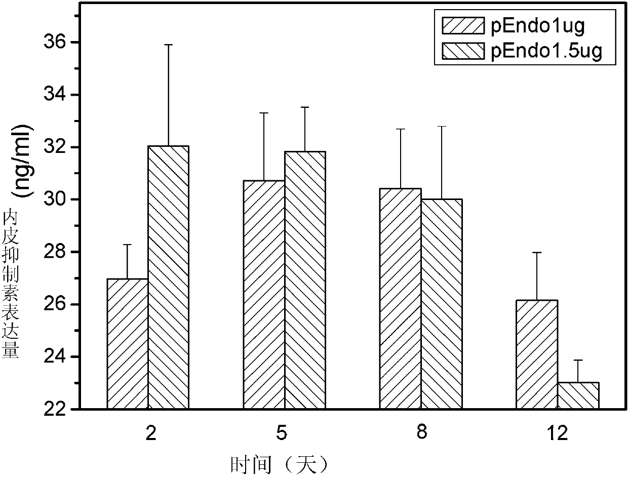 Preparation method and application of collagen-based composite corneal substitute capable of delivering endothelial inhibitory hormone