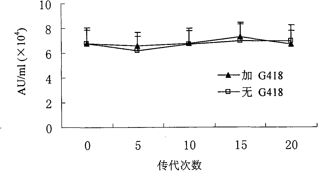 CHO cell line expressing bovine beta interferon and application thereof