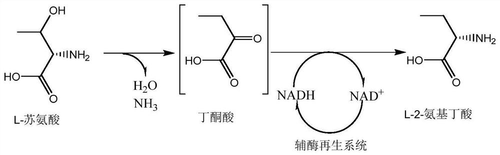 Novel method for preparing ethambutol hydrochloride