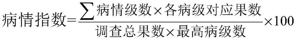 Pesticide composition with synergistic effect and for preventing and treating litchi downy blight