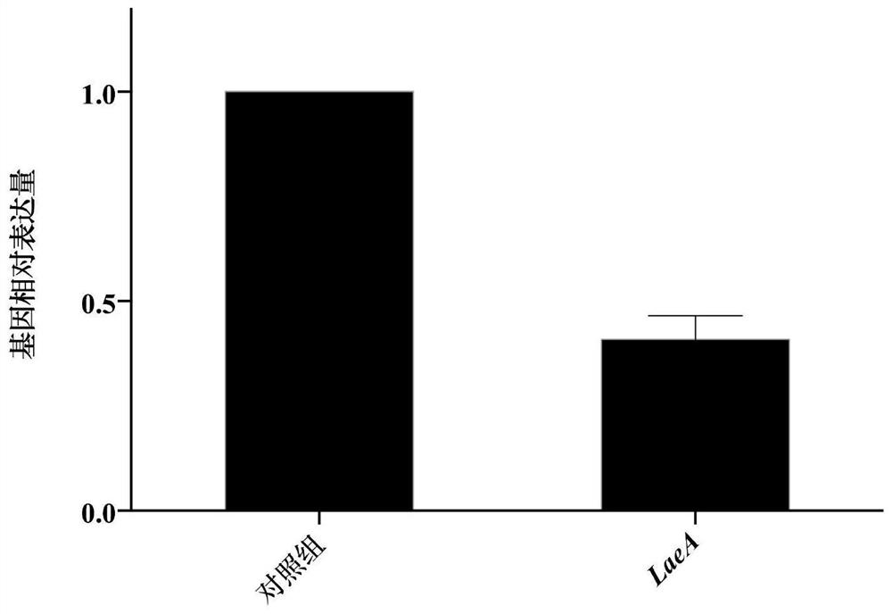 A Bifidobacterium adolescentis capable of inhibiting filamentous fungi and its application