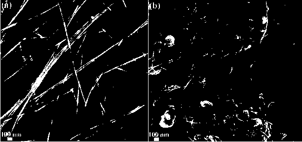 A kind of zto-agnws/cbs-gns flexible thin film solar cell and its preparation method