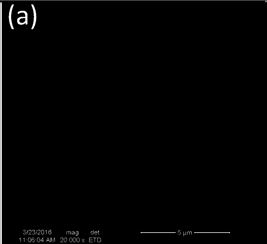 A kind of self-luminous fluorescent microsphere and preparation method thereof