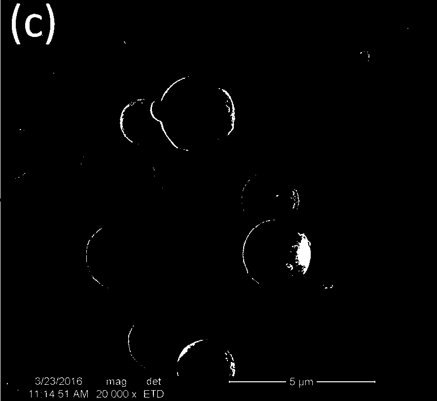 A kind of self-luminous fluorescent microsphere and preparation method thereof