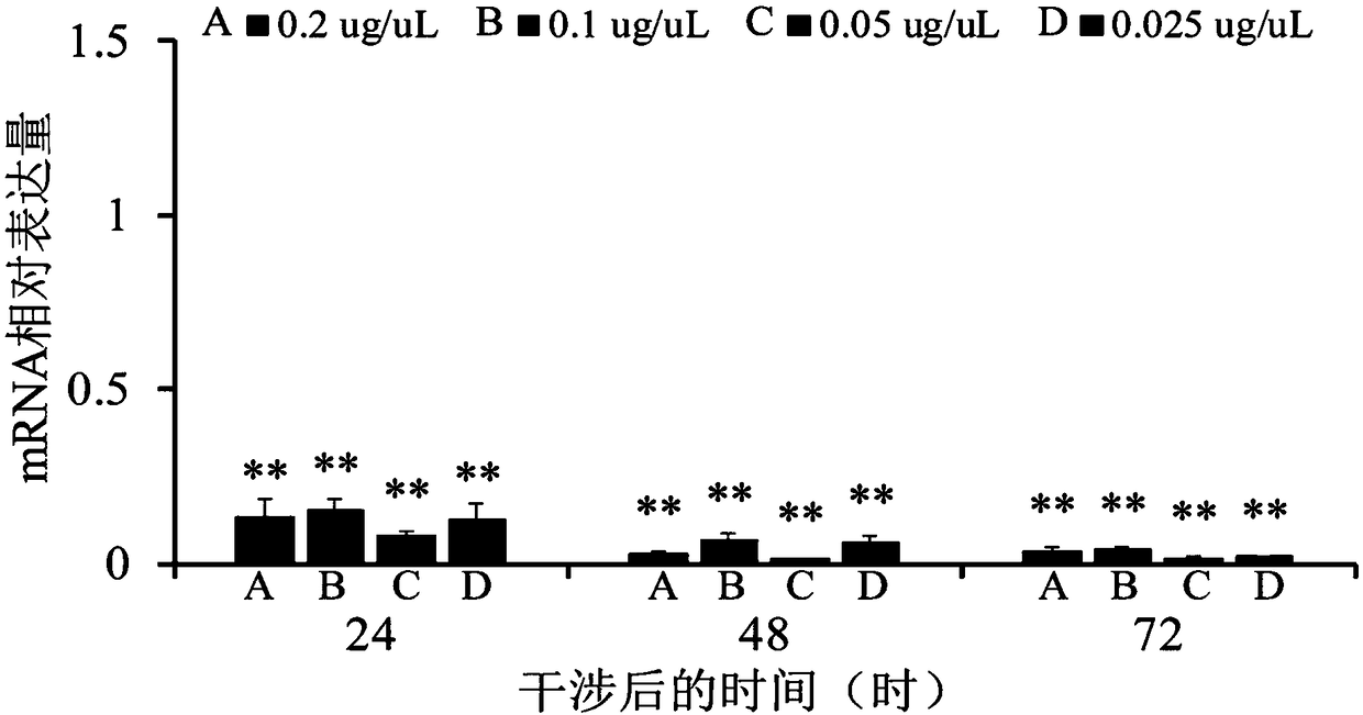 ESCRT-III core subunit Snf7 double-stranded RNA and preparation method and application thereof