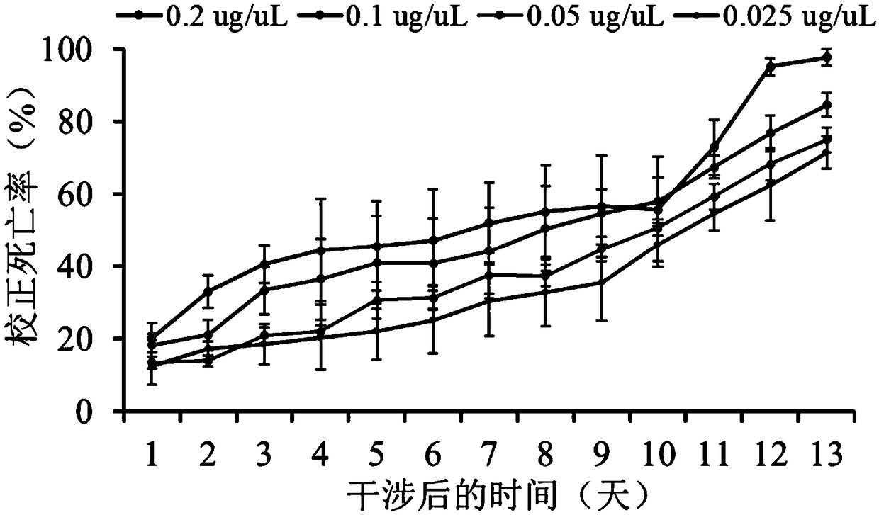 ESCRT-III core subunit Snf7 double-stranded RNA and preparation method and application thereof