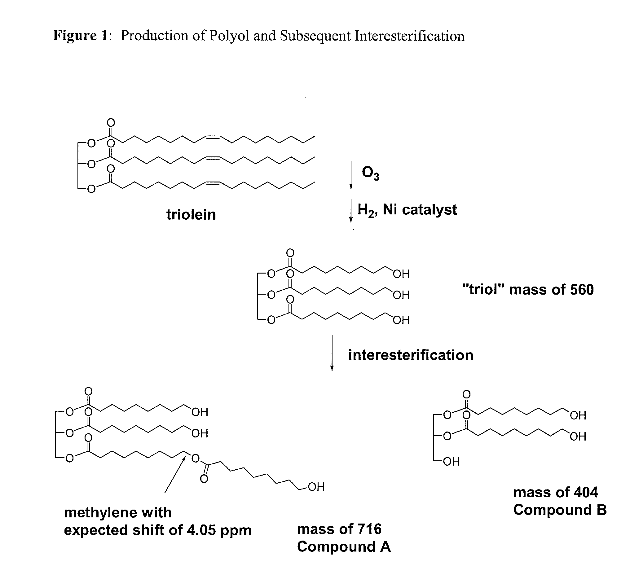 Bioplastics, monomers thereof, and processes for the preparation thereof from agricultural feedstocks