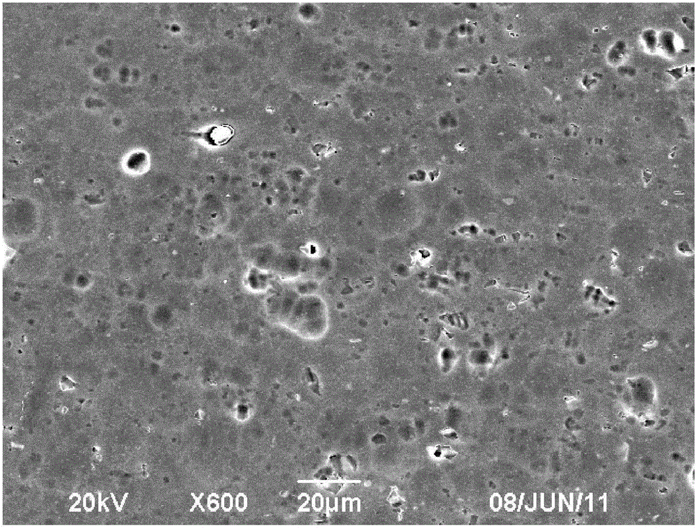 Silane/rare-earth composite protective film on aluminum or aluminum alloy surface and preparation method thereof