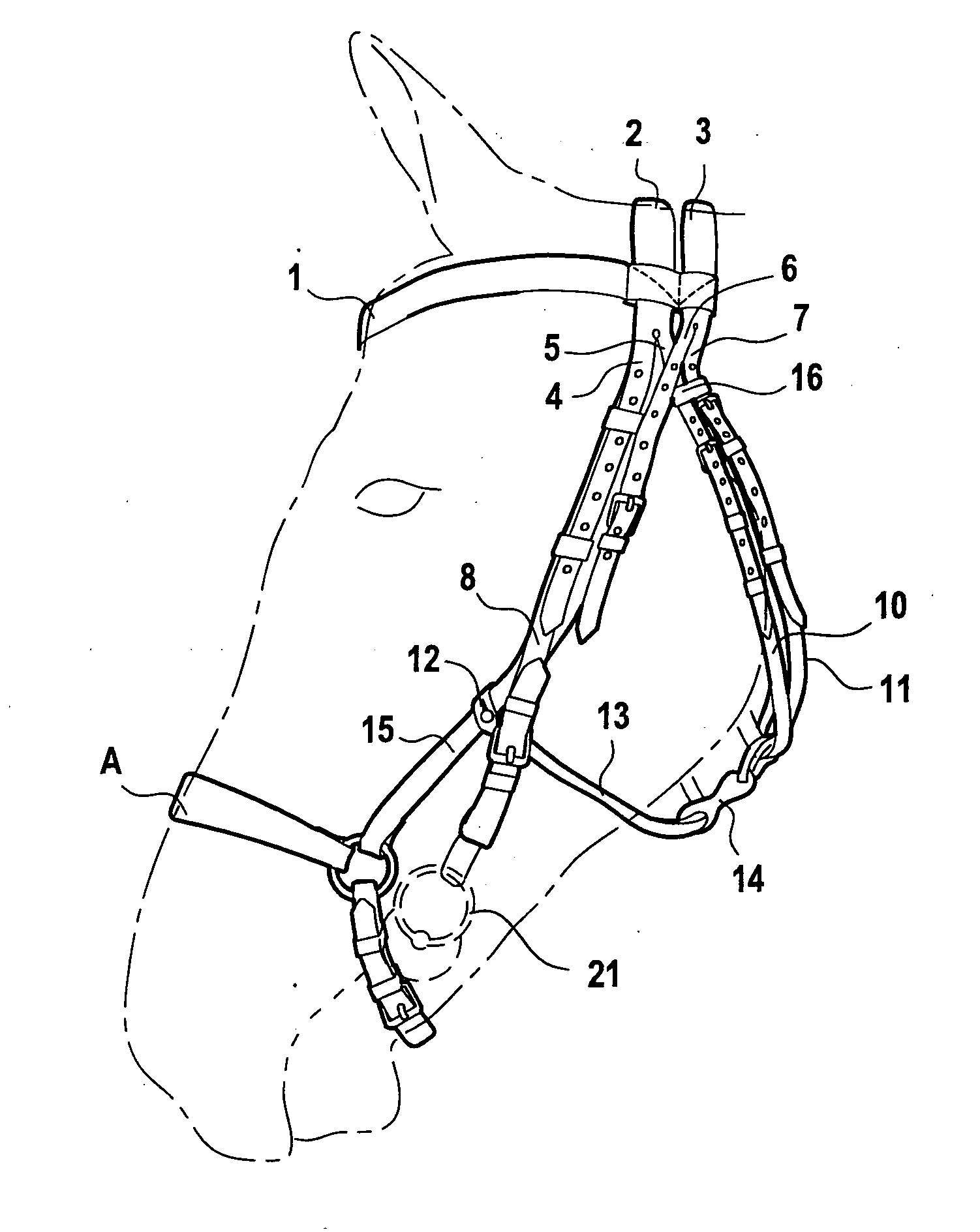 Head Harness for a Horse
