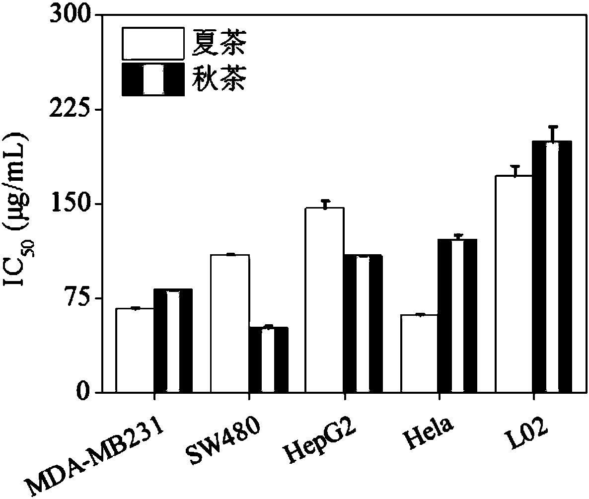 Preparation method of Jinguanyin tea essence and application thereof in preparation of anti-tumor medicines