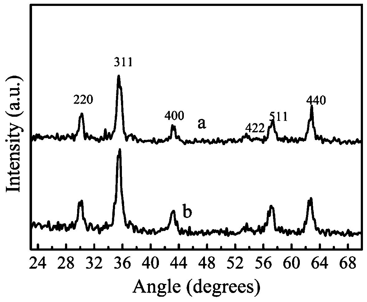 Composition, preparation and application of a magnetic liposome vesicle