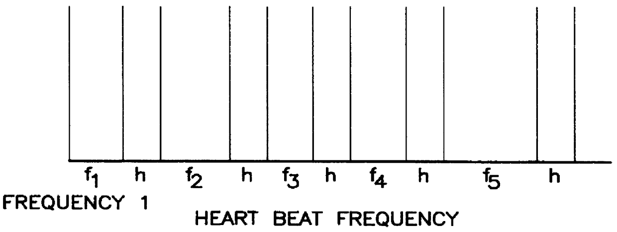 Therapeutic field generator