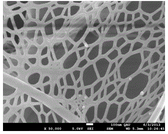 Carbon nano tube and vanadate composite nanofiber photocatalyst and preparation method thereof