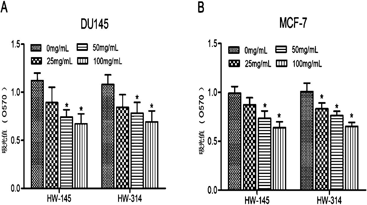 Single-domain antibodies against tumor stem cell marker protein CD133 and application thereof