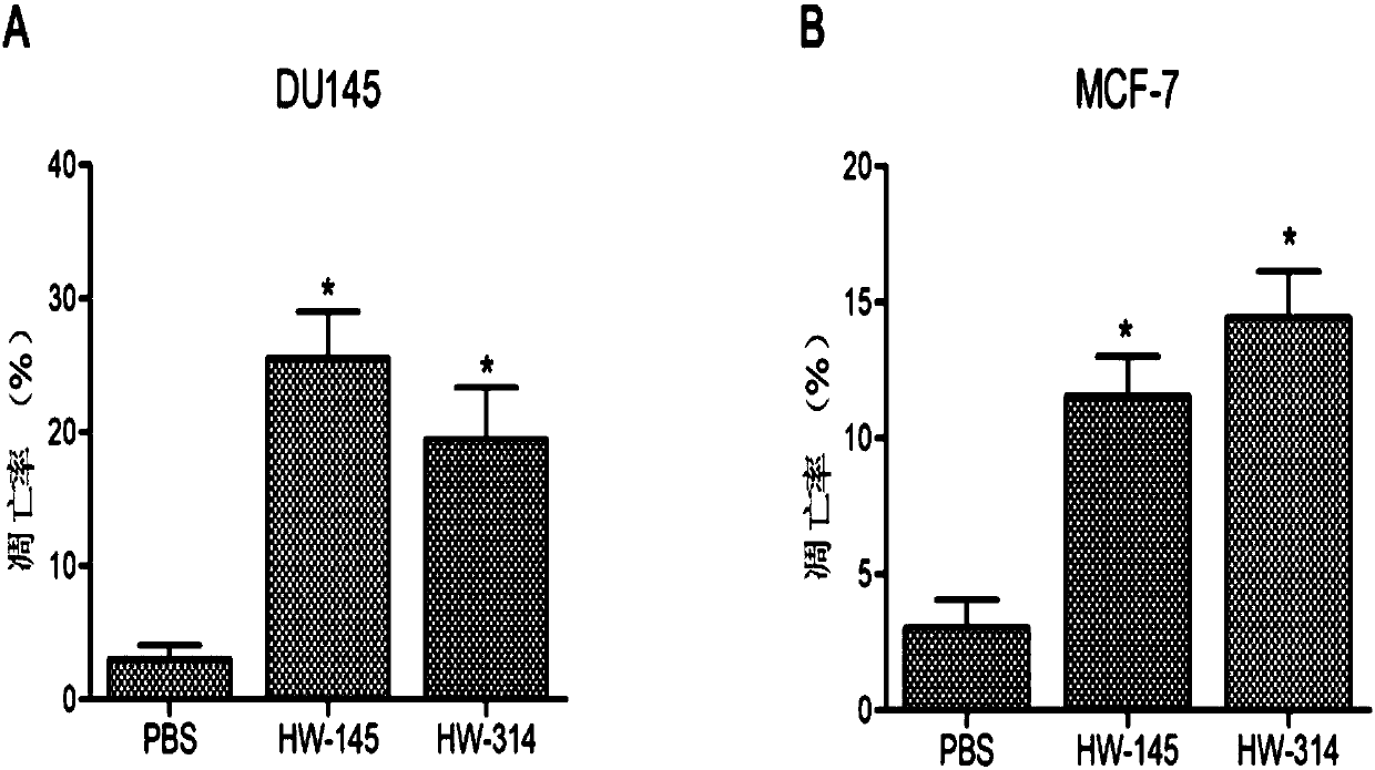 Single-domain antibodies against tumor stem cell marker protein CD133 and application thereof