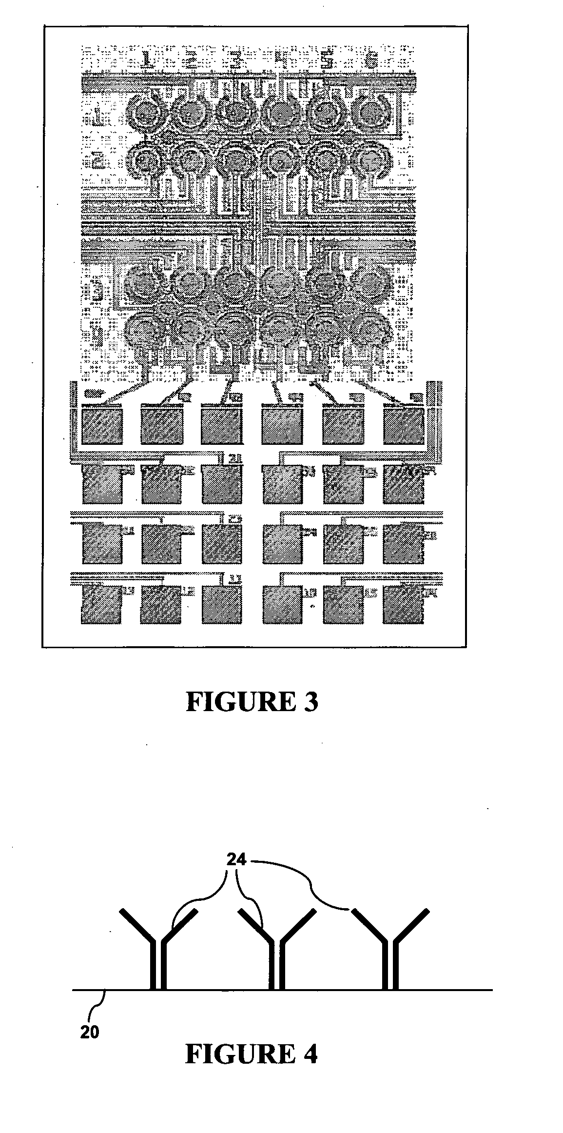 Device and method for detection of analyte from a sample