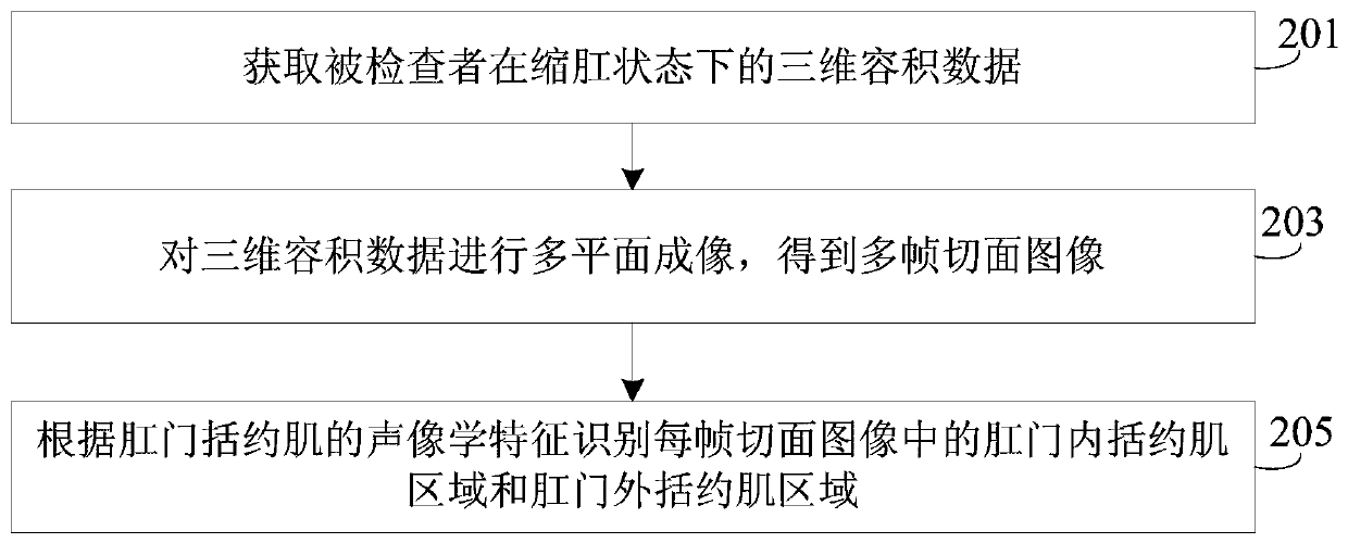 Anal sphincter image processing method and device, ultrasound equipment