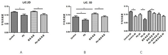 Method for establishing human-derived tumor xenograft model cultured in vitro