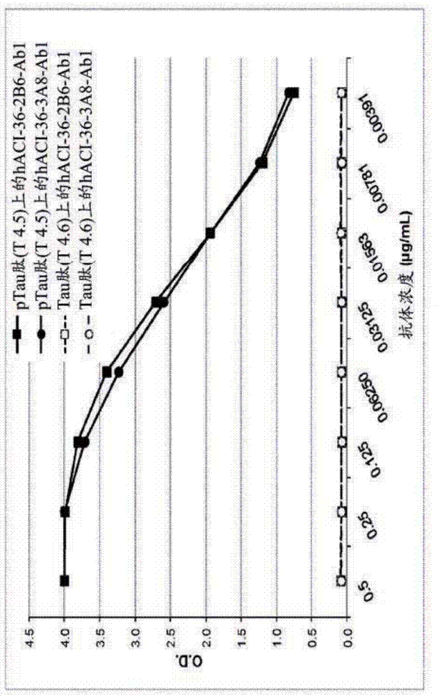 Humanized tau antibody