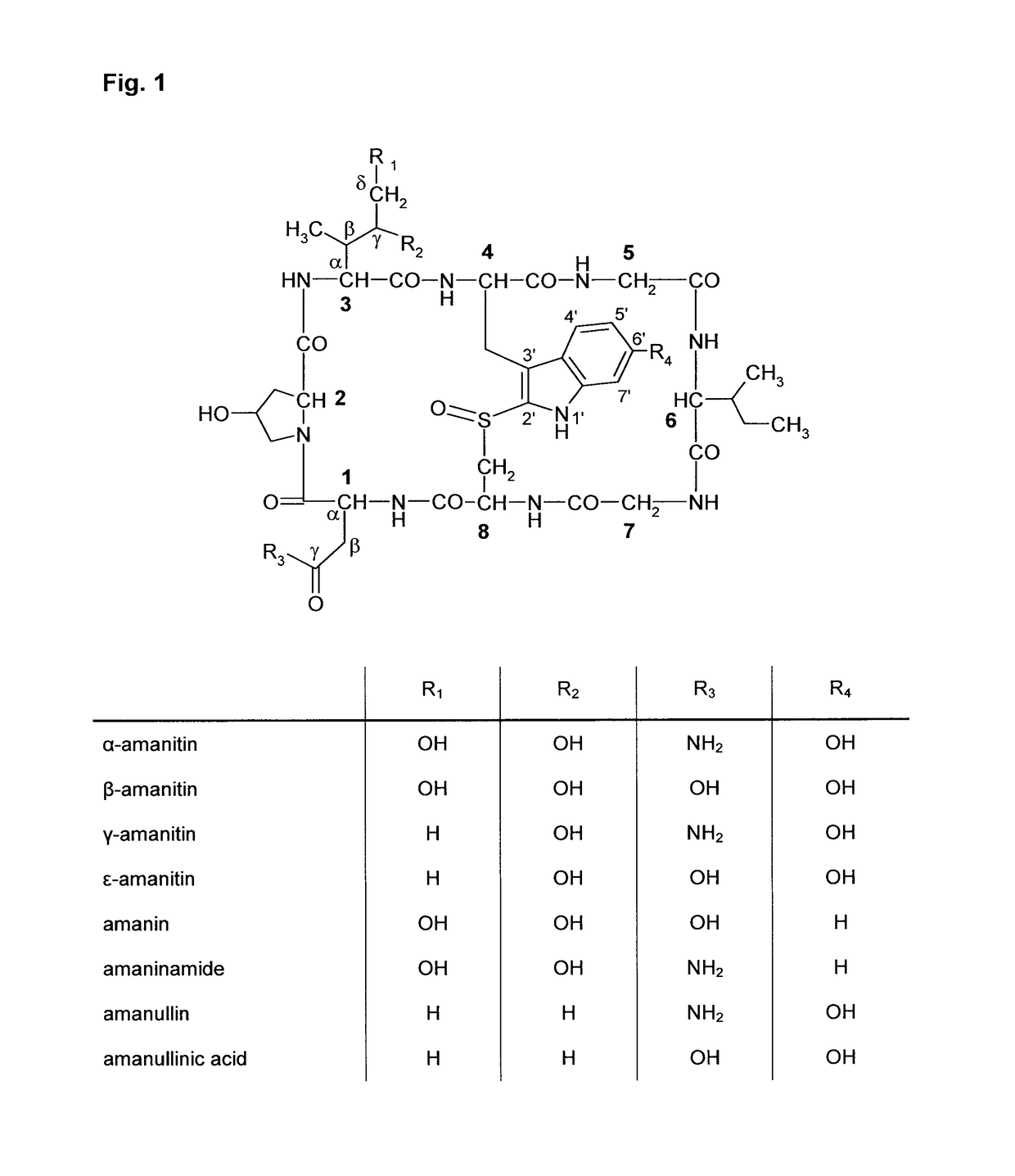 Amatoxin derivatives