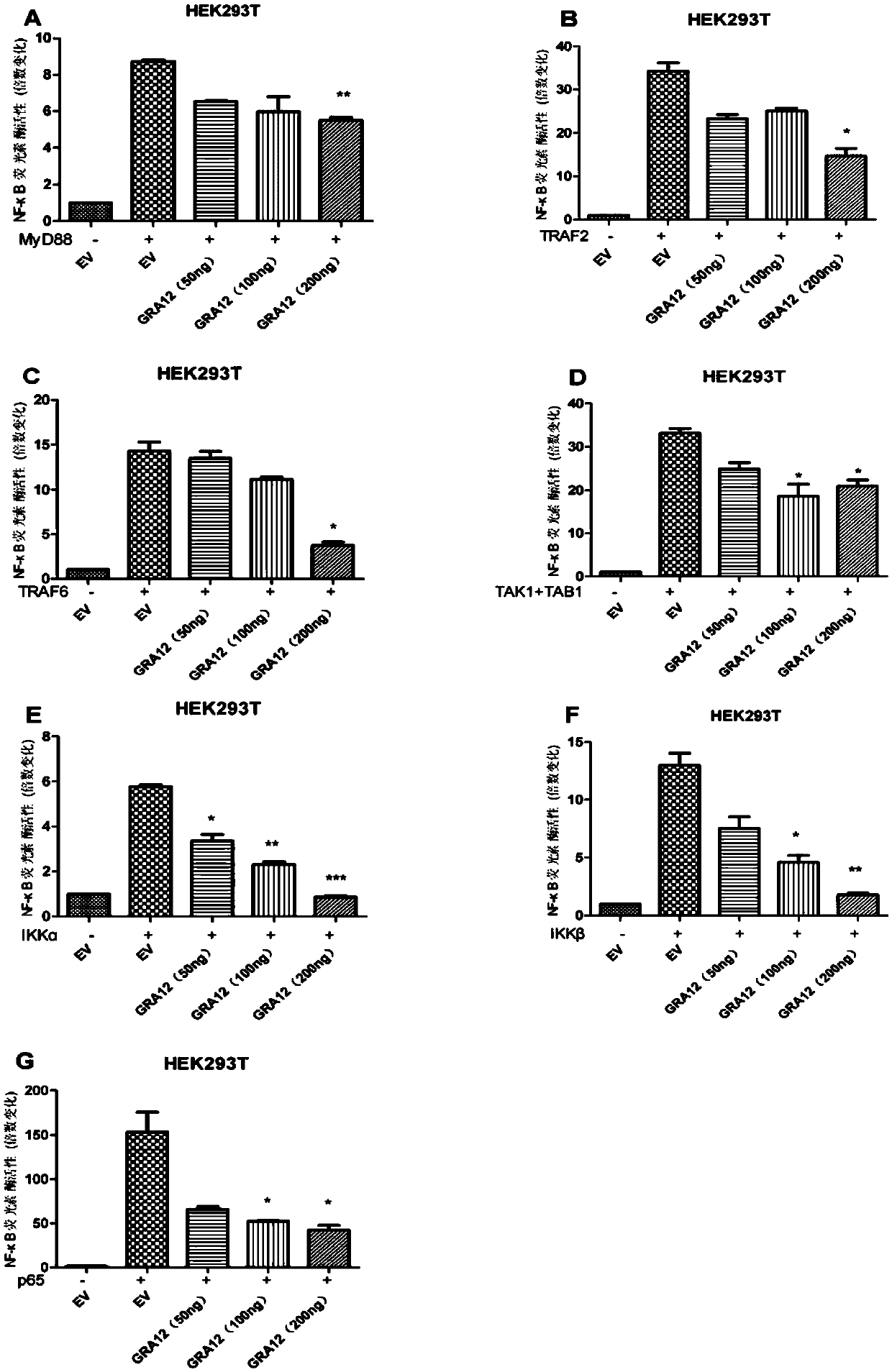 Application of TgGRA12 to preparation of drugs for inhibiting inflammatory response