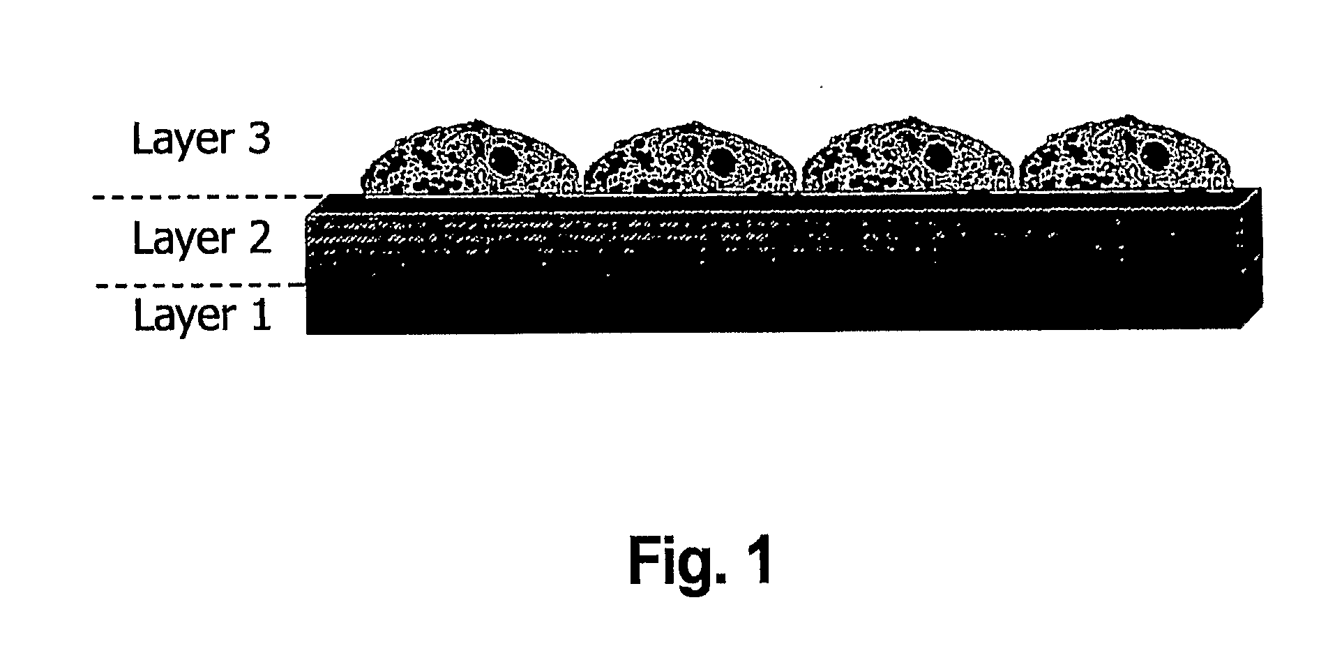 Layered bio-adhesive compositions and uses thereof