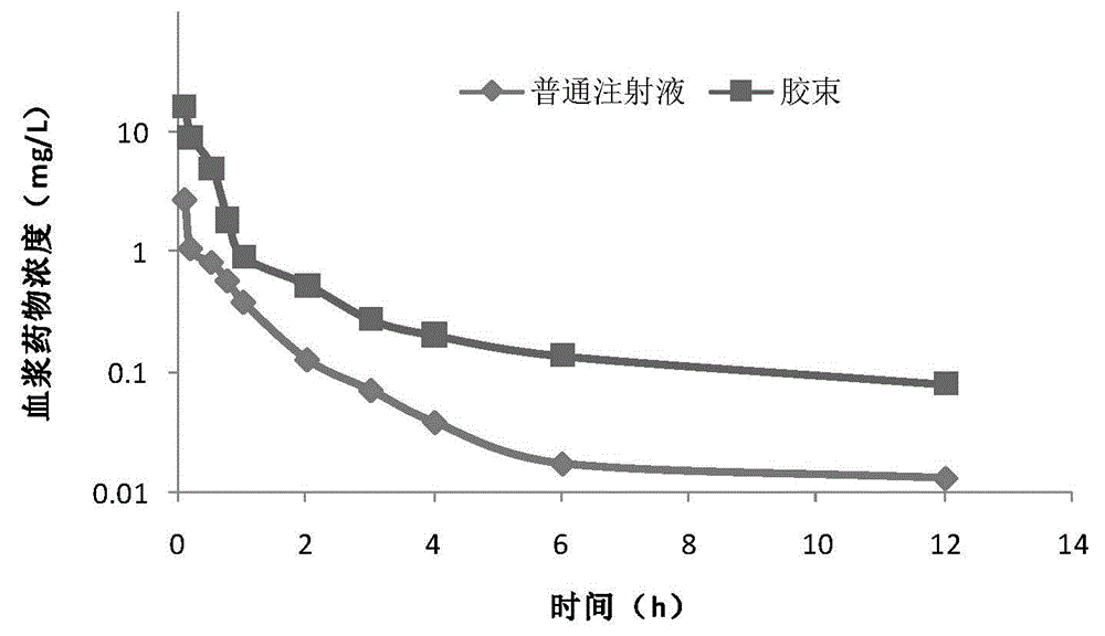 Andrographolide polymer micelle, preparation method and medicinal application thereof
