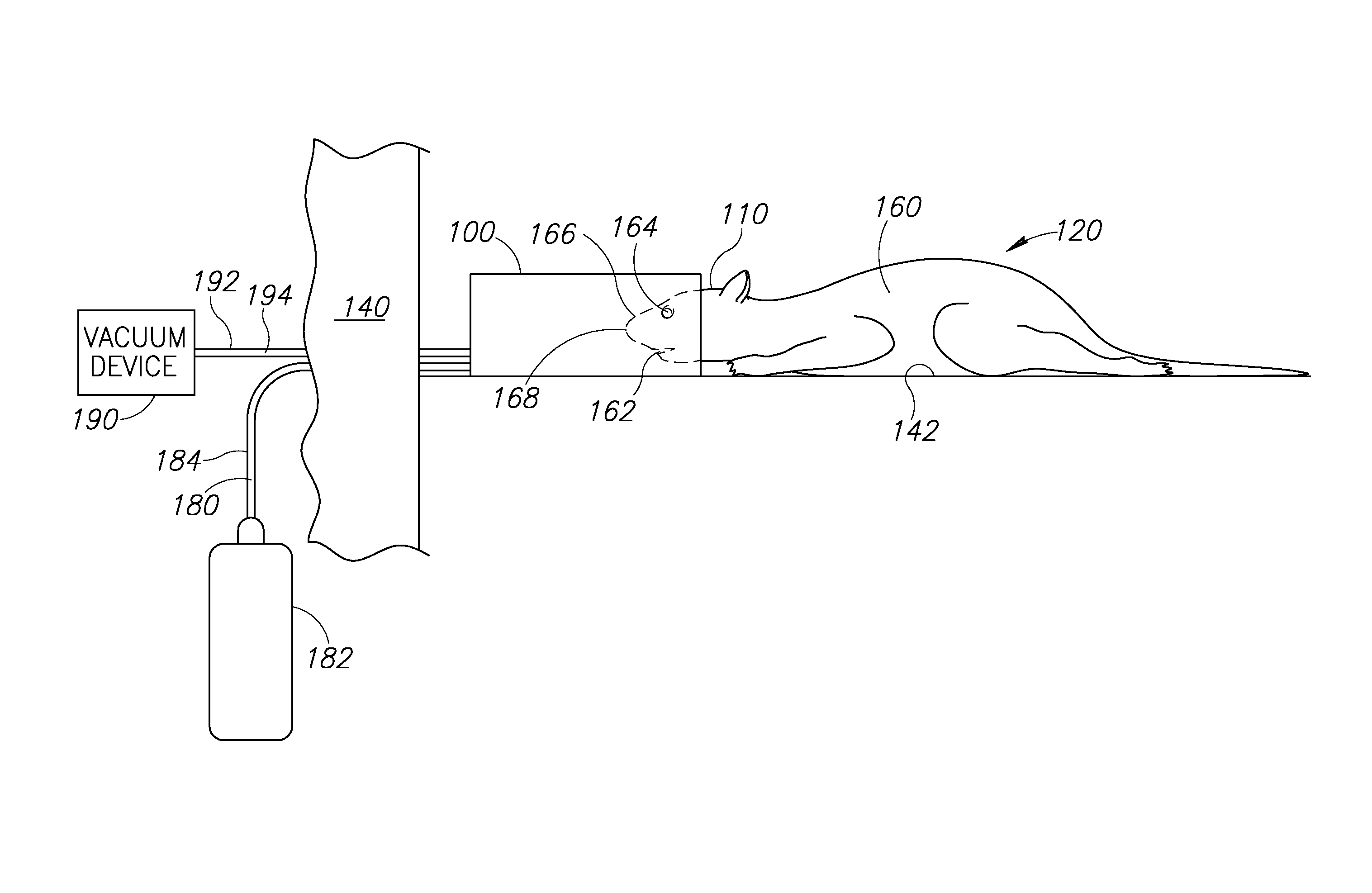 Small animal imaging device