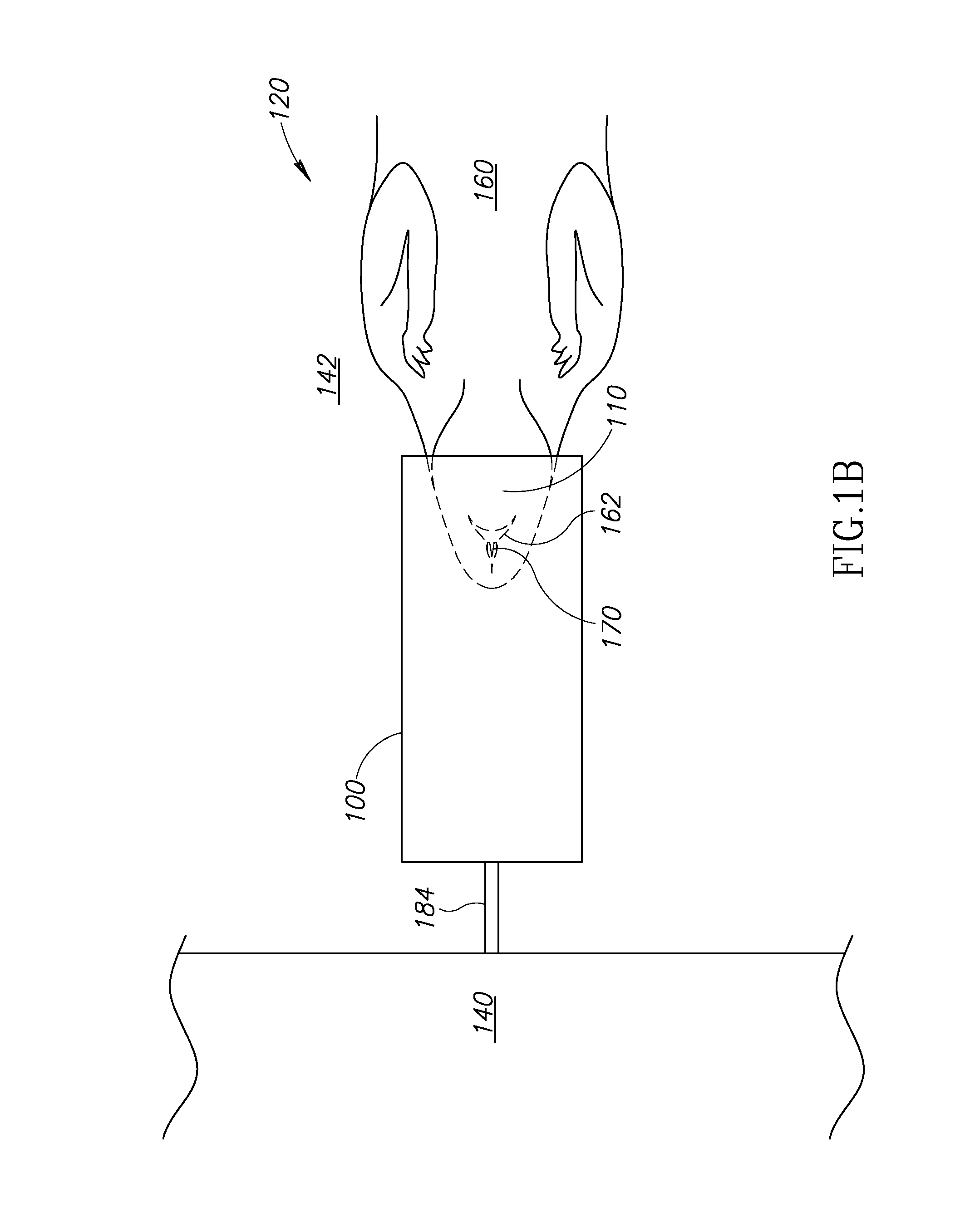 Small animal imaging device