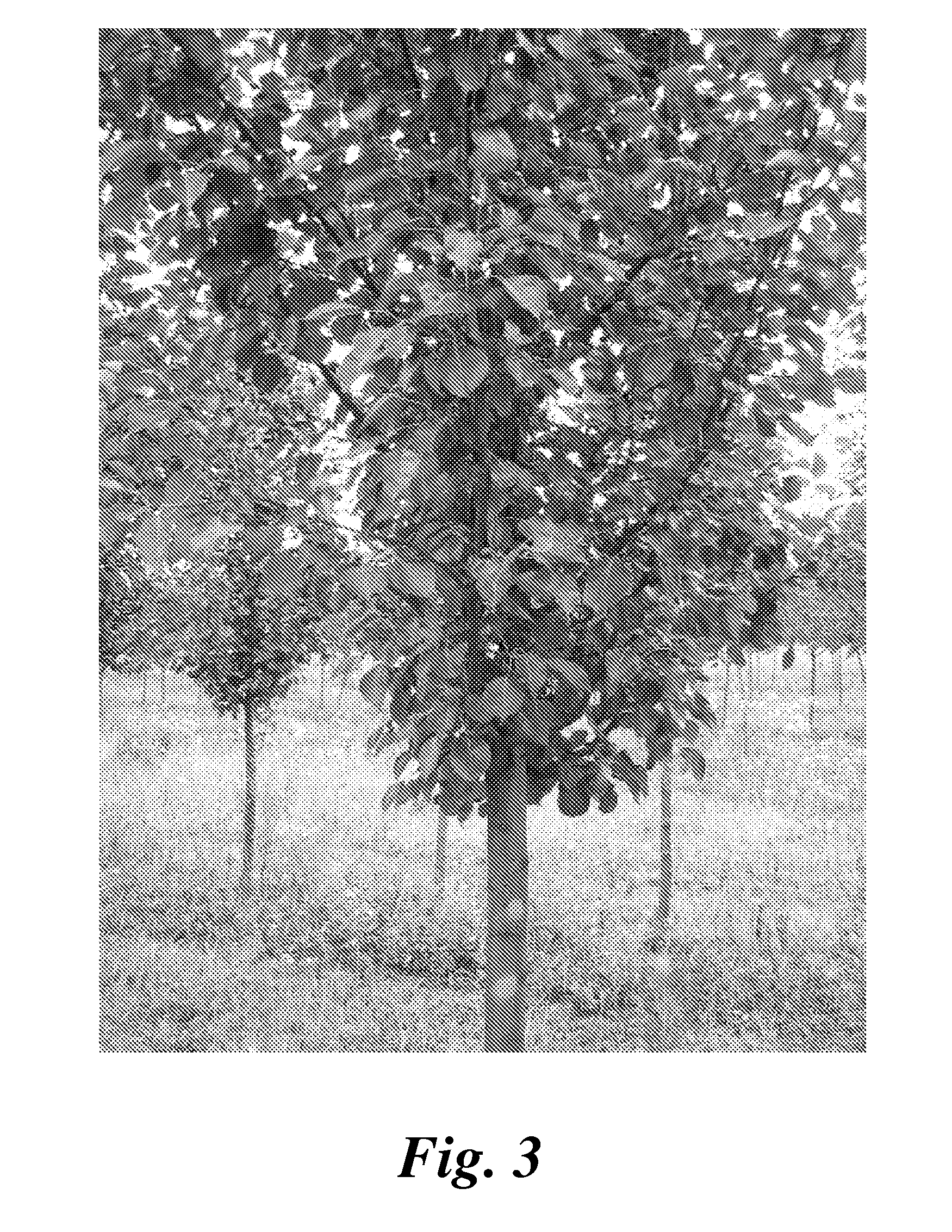 Formulation and method for treating plants to control or suppress a plant pathogen