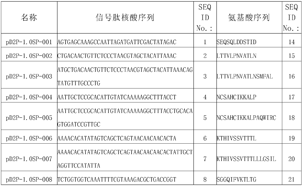 Signal peptide related sequences and application thereof in protein synthesis