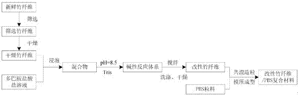 Technique for improving interfacial compatibility of bamboo fiber and polybutylene succinate based on polydopamine bionic interfacial modification modifier