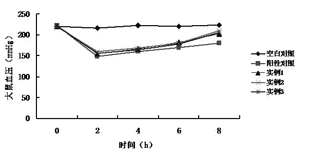 Cannabis protein peptide drink and preparation method thereof
