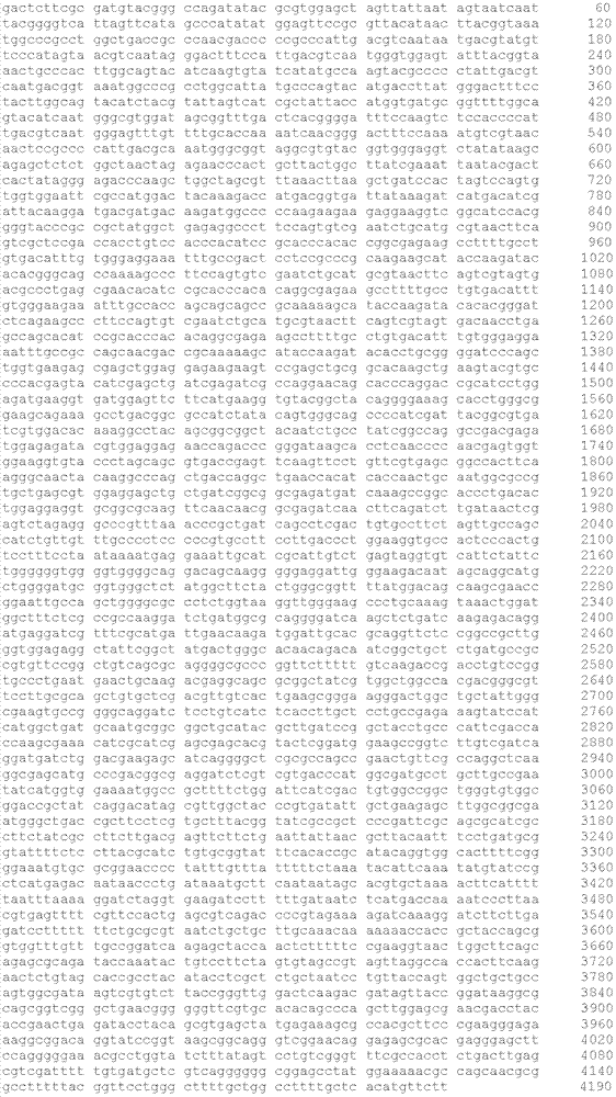 Zinc finger endonuclease mediating integrated hiv‑1 proviral gene knockout and its preparation and application